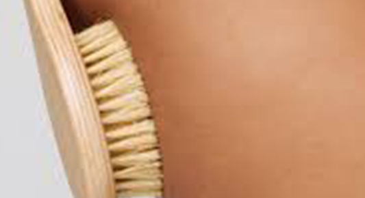 THE BENEFITS OF BODY BRUSHING