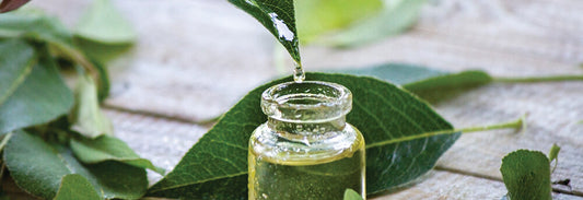 DEHYDRATED VS. DRY SKIN - LET'S CLEAR IT UP