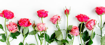 THE BEST WAY TO TREAT ROSACEA - PART 4