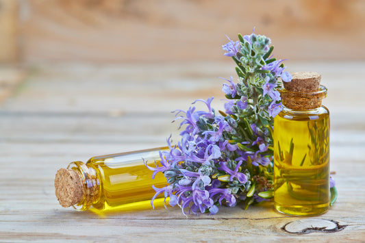 WHAT IS ROSEMARY OIL?