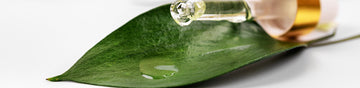 WHY USE A SERUM OR CONCENTRATE?