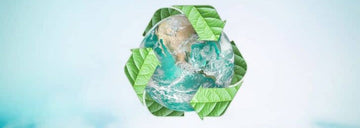 ECO-FRIENDLY BEAUTY - WHERE DO I START?