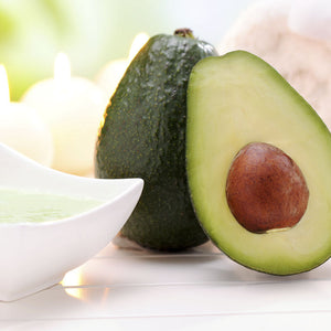 Persea Gratissima (Avocado) Seed Extract