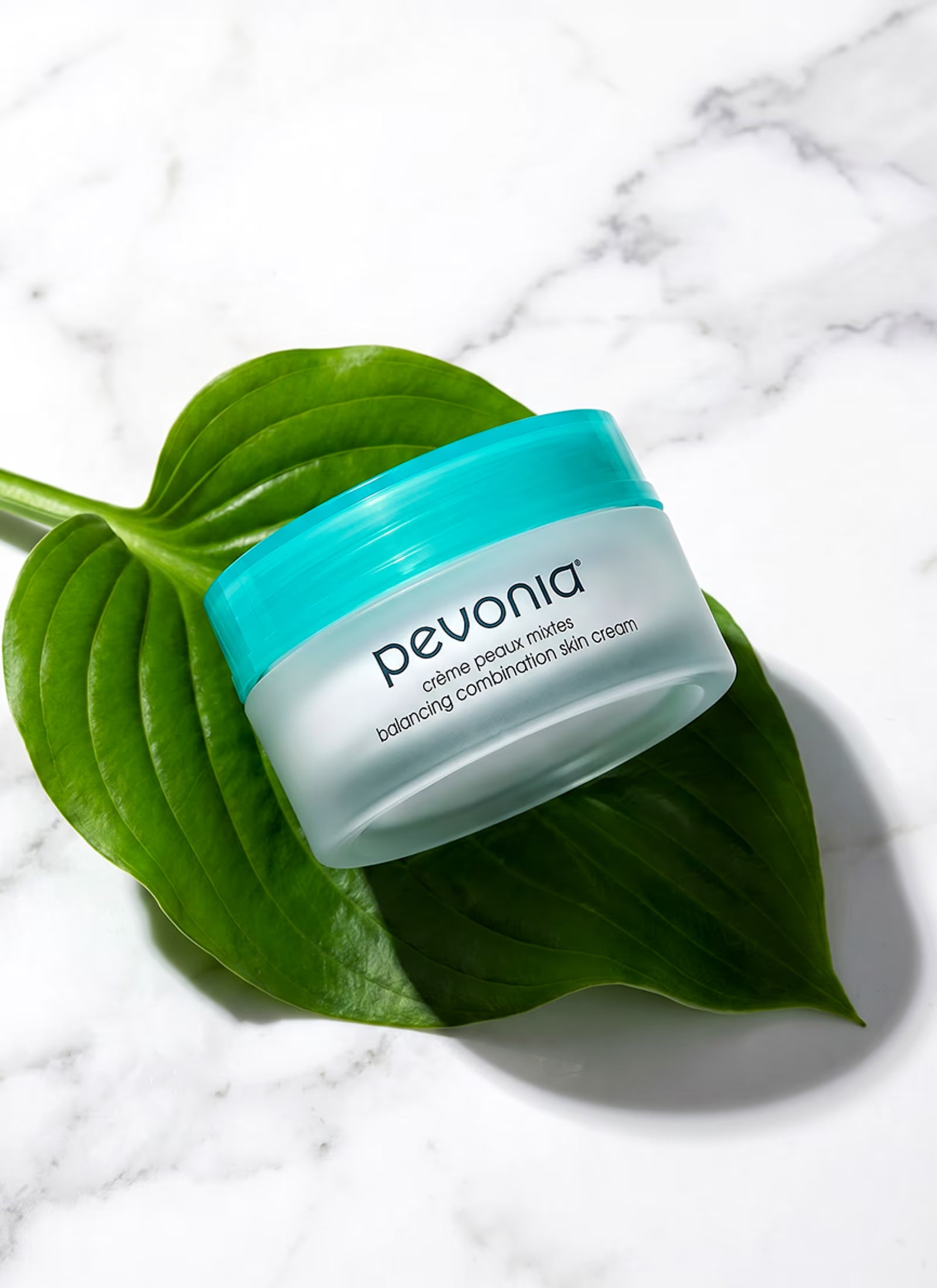 Balancing Combination Skin Cream