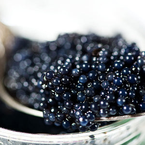 Caviar Extract