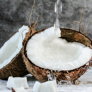 Cocos Nucifera (Coconut) Fruit Extract