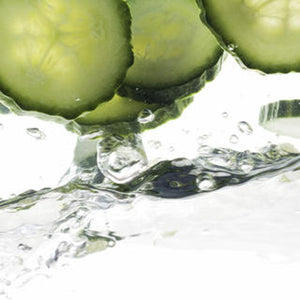 Cucumis Sativus (Cucumber) Fruit Extract