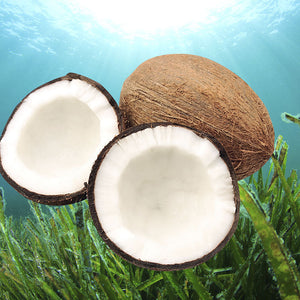 Dipalmitoyl Hydroxyproline