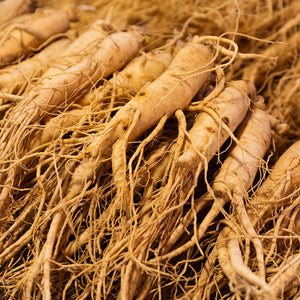 Panax Ginseng Root Extract