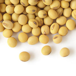 Hydrolyzed Soy Protein