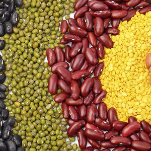 Lens Esculenta (Lentil) Fruit Extract