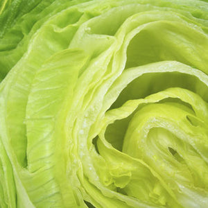 Lactuca Scariola Sativa (Lettuce) Leaf Extract