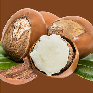 Longan Fruit Seed Extract (Nephelium Longana )