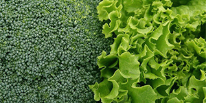 Micro-Retinol® (See Also Retinol )