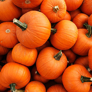 Pumpkin Fruit Extract