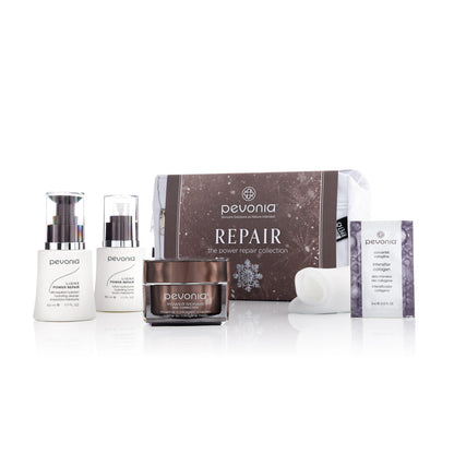 REPAIR - The Power Repair Collection