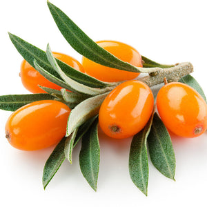 Hippophae Rhamnoides Fruit Extract (Sea Buckthorn Fruit Extract)