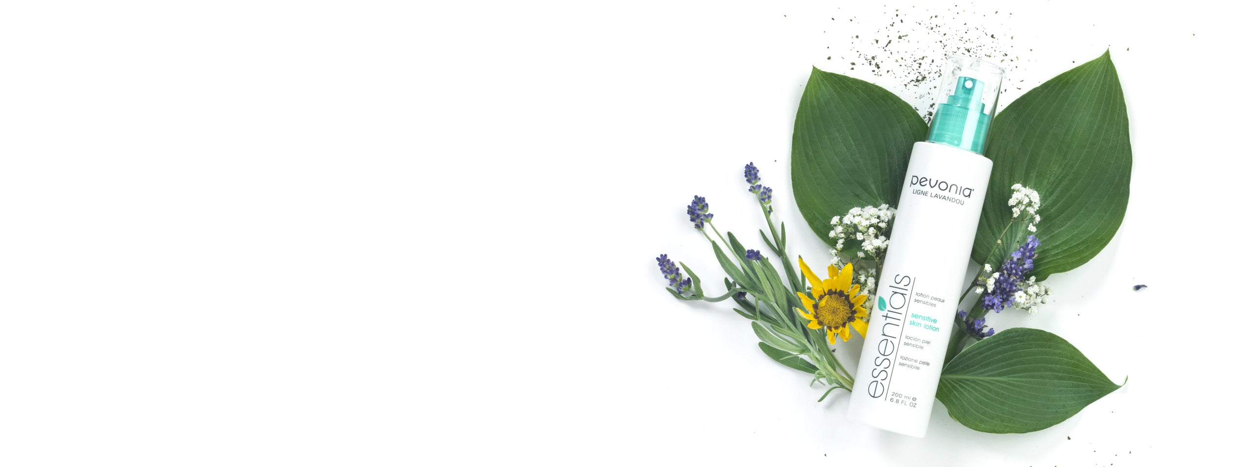 slider image 1621243260e1af0c20-0