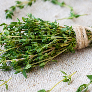 Thymus Vulgaris (Thyme) Flower/Leaf Oil