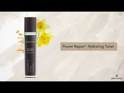 REPAIR - The Power Repair Collection